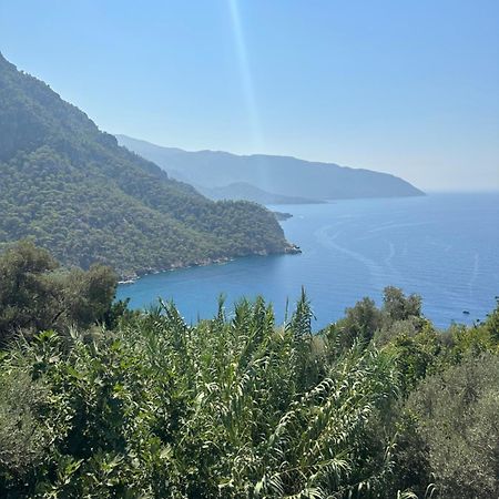 Kabak Armes Hotel Faralya Exterior photo